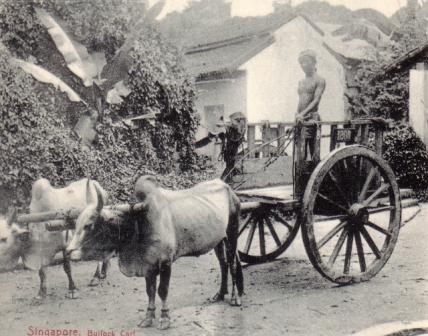 bull lock cart singapore